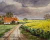 Binnenland - Dorf Övelgönner Weg Hans Möller Aquarell  Motiv: Wintershagen.  Technik: Aquarell.  Urheberrecht: Kay Möller / Annelies Möller.  Kategorie: Binnenland - Dorf.  Thema: Rapsblüte - Regen. : Hans Möller, Aquarell, Schleswig-Holstein Binnenland, Binnenland - Dorf, Övelgönner Weg, Wintershagen, Rapsblüte, Regen, Kay Möller / Annelies Möller, Weitere Infos unter : http://www.maler-hans-moeller.de, mailto:info@maler-hans-moeller.de